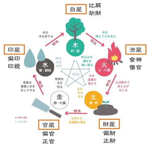 偏財女|四柱推命「偏財」の人の性格や特徴とは？適職、恋愛。